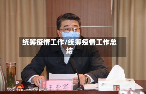统筹疫情工作/统筹疫情工作总结-第2张图片