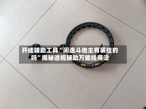 开挂辅助工具“闲逸斗地主有装挂的吗”揭秘透视辅助万能挂用法-第2张图片