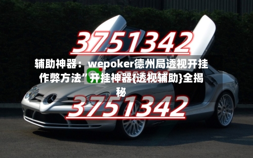 辅助神器：wepoker德州局透视开挂作弊方法	”开挂神器{透视辅助}全揭秘-第2张图片