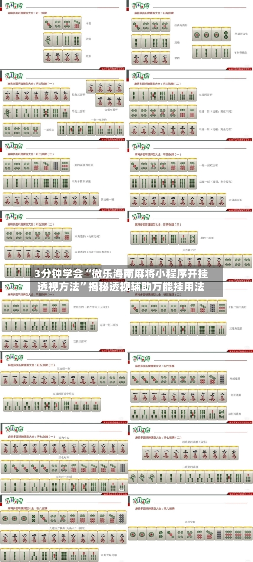 3分钟学会“微乐海南麻将小程序开挂透视方法	”揭秘透视辅助万能挂用法-第2张图片
