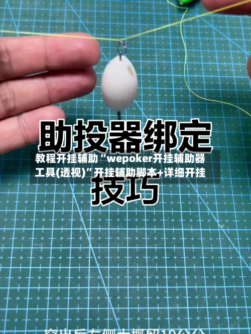 教程开挂辅助“wepoker开挂辅助器工具(透视)”开挂辅助脚本+详细开挂-第2张图片