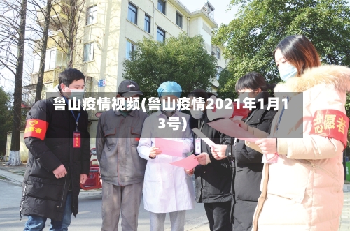 鲁山疫情视频(鲁山疫情2021年1月13号)