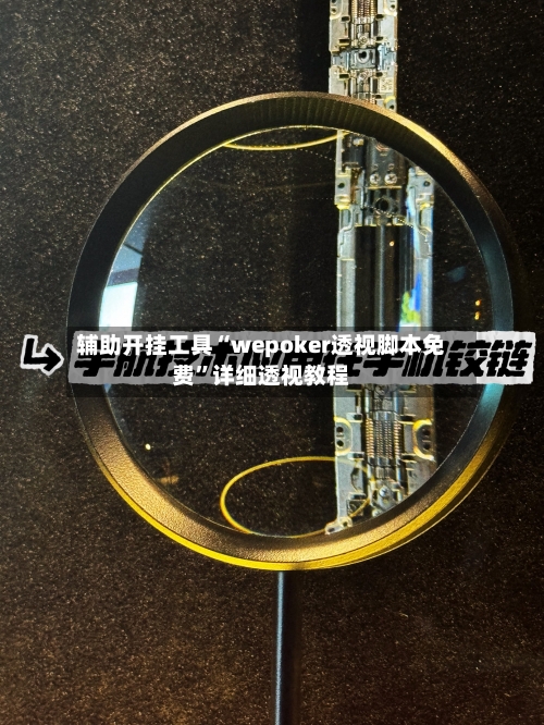 辅助开挂工具“wepoker透视脚本免费”详细透视教程