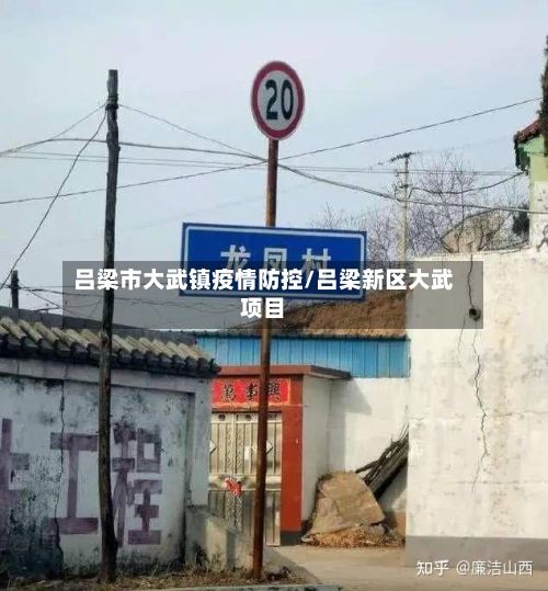 吕梁市大武镇疫情防控/吕梁新区大武项目