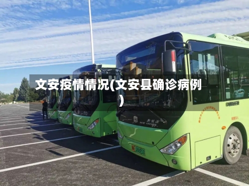 文安疫情情况(文安县确诊病例)-第2张图片