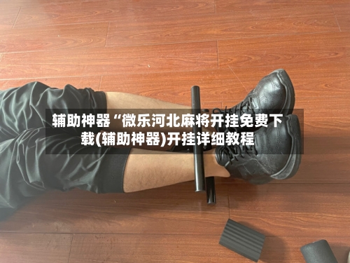 辅助神器“微乐河北麻将开挂免费下载(辅助神器)开挂详细教程-第2张图片
