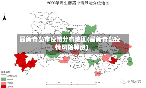最新青岛市疫情分布地图(最新青岛疫情风险等级)