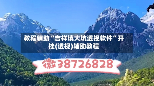 教程辅助“吉祥填大坑透视软件	”开挂(透视)辅助教程-第2张图片