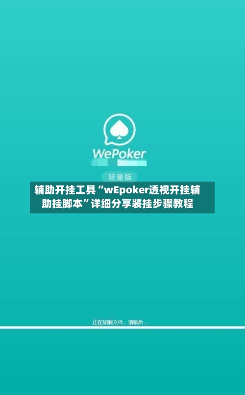 辅助开挂工具“wEpoker透视开挂辅助挂脚本	”详细分享装挂步骤教程-第2张图片
