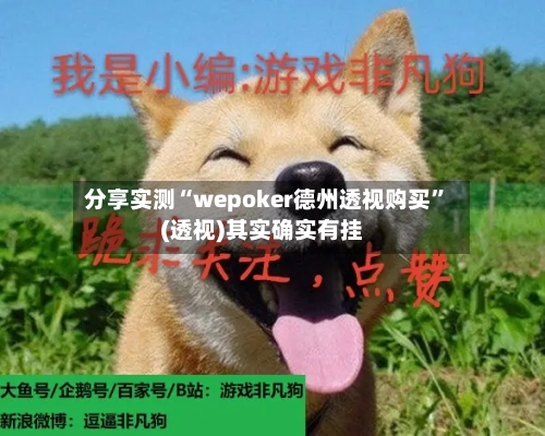 分享实测“wepoker德州透视购买	”(透视)其实确实有挂-第3张图片