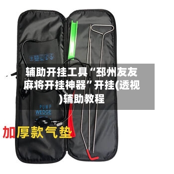 辅助开挂工具“邳州友友麻将开挂神器”开挂(透视)辅助教程-第3张图片