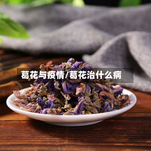 葛花与疫情/葛花治什么病
