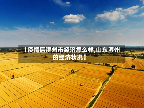 【疫情后滨州市经济怎么样,山东滨州的经济状况】-第3张图片