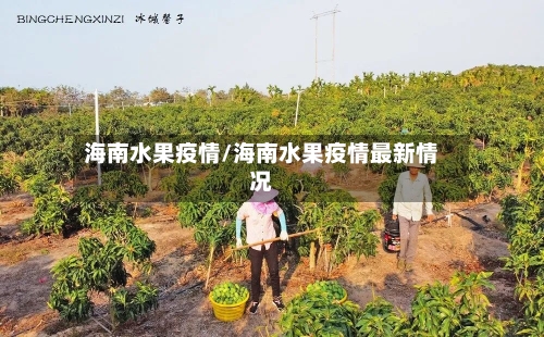 海南水果疫情/海南水果疫情最新情况