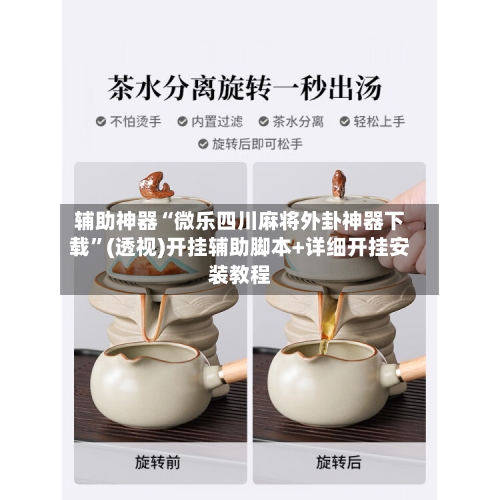 辅助神器“微乐四川麻将外卦神器下载”(透视)开挂辅助脚本+详细开挂安装教程-第3张图片