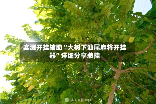 实测开挂辅助“大树下汕尾麻将开挂器”详细分享装挂