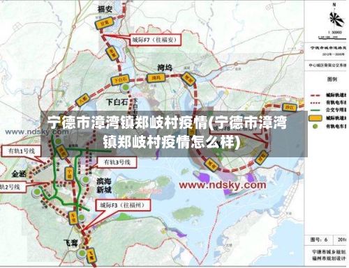 宁德市漳湾镇郑岐村疫情(宁德市漳湾镇郑岐村疫情怎么样)