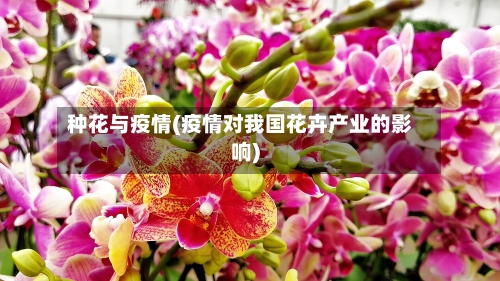种花与疫情(疫情对我国花卉产业的影响)