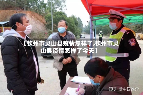 【钦州市灵山县疫情怎样了,钦州市灵山县疫情怎样了今天】-第2张图片