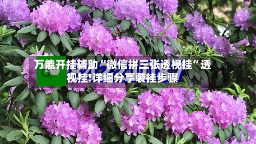 万能开挂辅助“微信拼三张透视挂”透视挂!详细分享装挂步骤-第3张图片