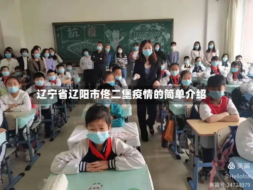 辽宁省辽阳市佟二堡疫情的简单介绍