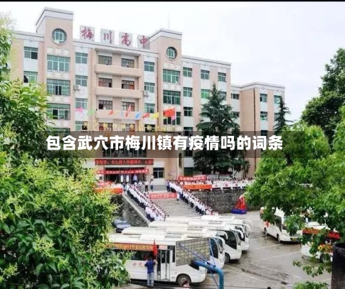包含武穴市梅川镇有疫情吗的词条