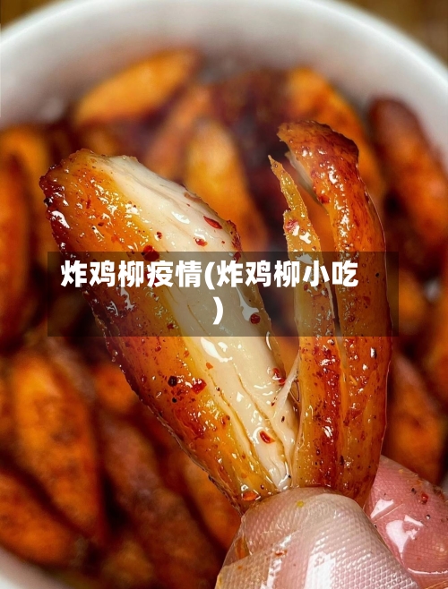 炸鸡柳疫情(炸鸡柳小吃)