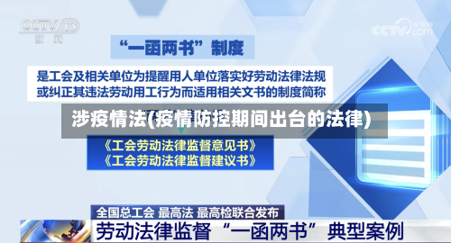 涉疫情法(疫情防控期间出台的法律)-第2张图片