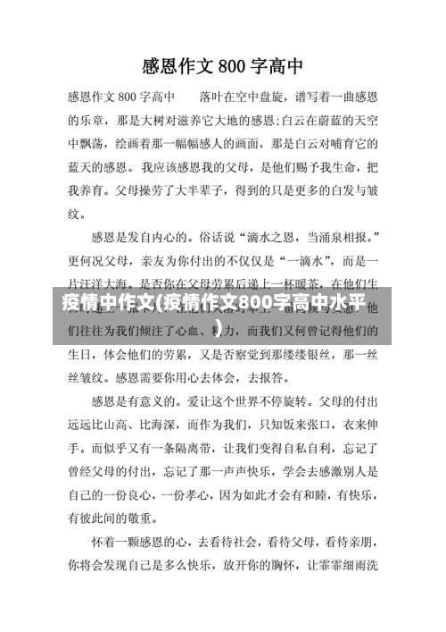 疫情中作文(疫情作文800字高中水平)-第2张图片