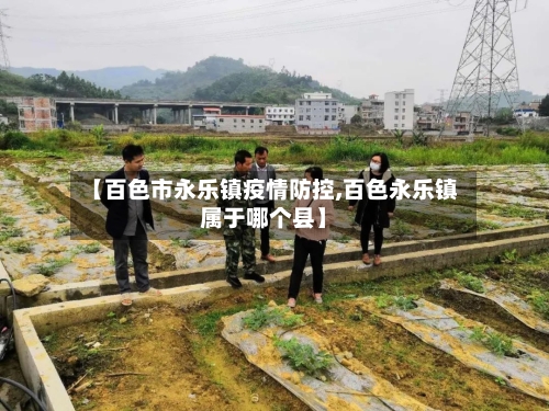 【百色市永乐镇疫情防控,百色永乐镇属于哪个县】-第2张图片