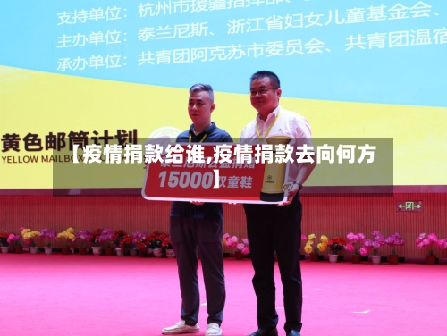 【疫情捐款给谁,疫情捐款去向何方】