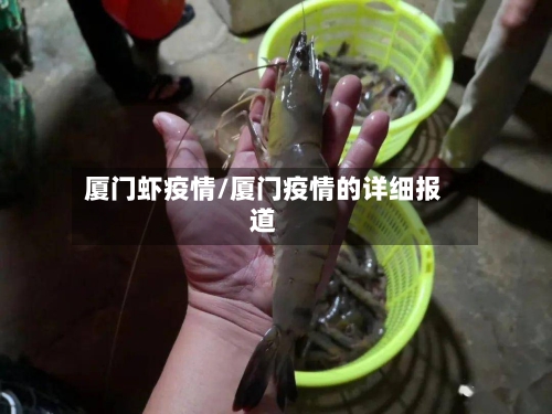 厦门虾疫情/厦门疫情的详细报道-第2张图片