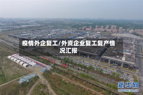 疫情外企复工/外资企业复工复产情况汇报