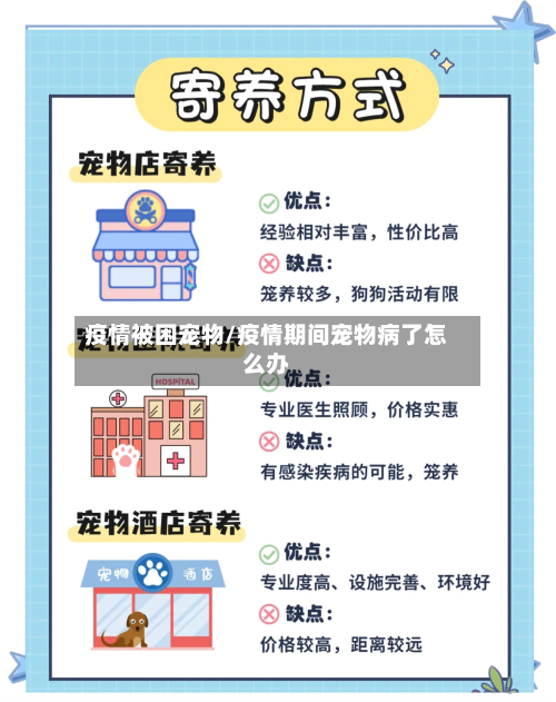 疫情被困宠物/疫情期间宠物病了怎么办