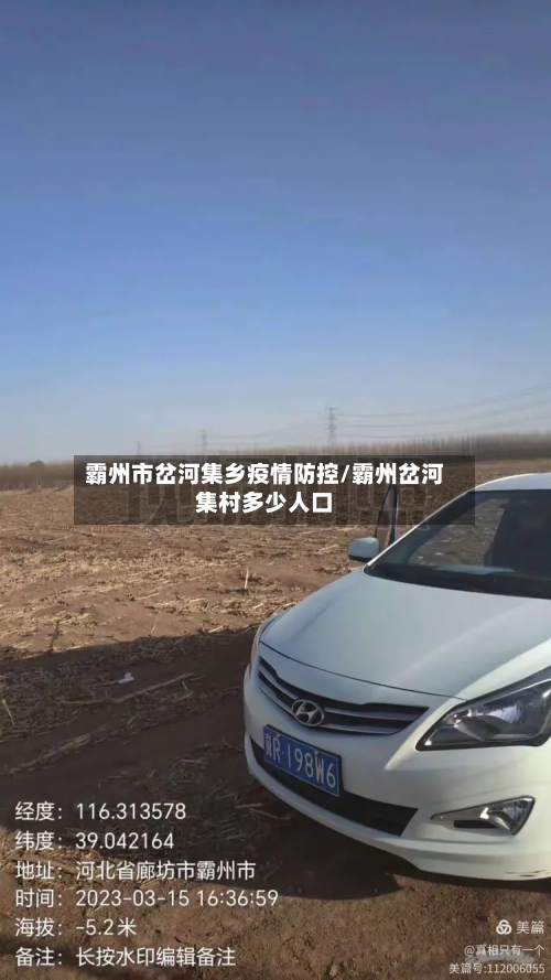 霸州市岔河集乡疫情防控/霸州岔河集村多少人口