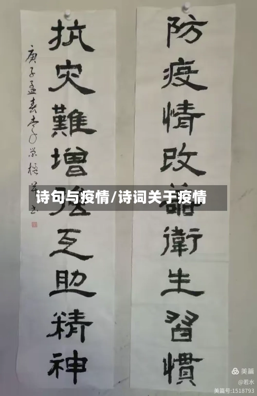 诗句与疫情/诗词关于疫情