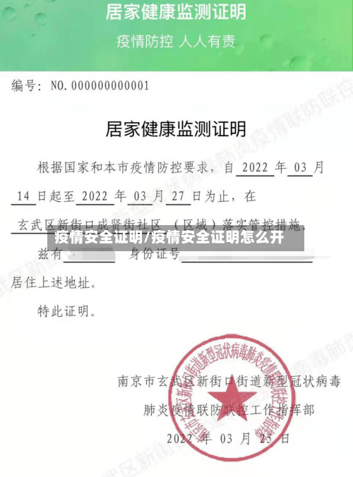疫情安全证明/疫情安全证明怎么开