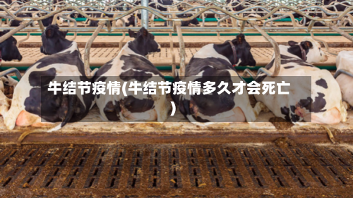 牛结节疫情(牛结节疫情多久才会死亡)-第2张图片