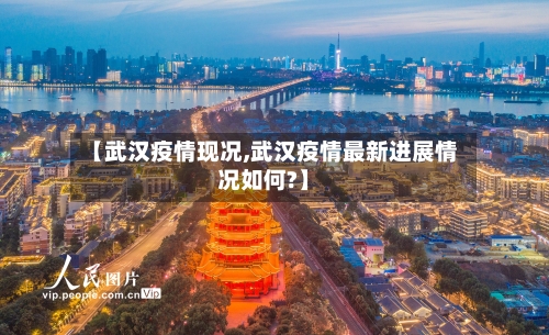 【武汉疫情现况,武汉疫情最新进展情况如何?】-第2张图片