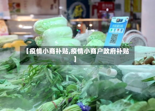 【疫情小商补贴,疫情小商户政府补贴】