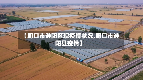 【周口市淮阳区现疫情状况,周口市淮阳县疫情】-第3张图片