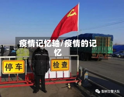 疫情记忆轴/疫情的记忆