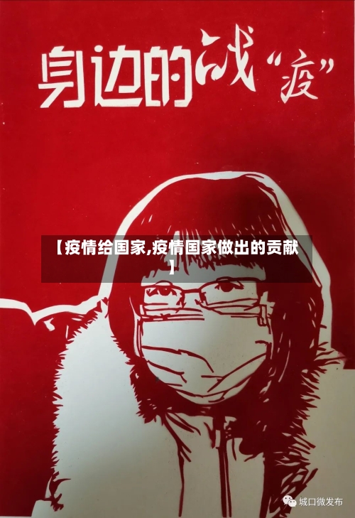 【疫情给国家,疫情国家做出的贡献】-第2张图片