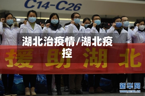 湖北治疫情/湖北疫控-第2张图片