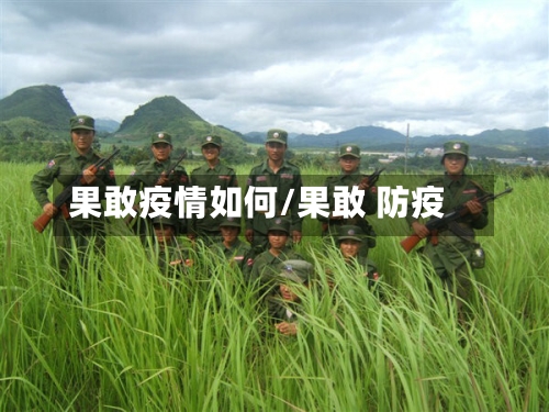 果敢疫情如何/果敢 防疫